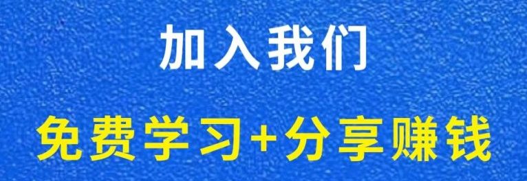 白菜价解锁20000+N个赚钱机会，加入逐梦项目网会员，全站资源免费学习。-逐梦项目网