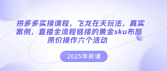 拼多多实操课程，飞龙在天玩法，真实案例，直播全流程链接的黄金sku布局原价操作六个活动-逐梦项目网