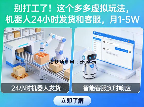 别打工了！这个多多虚拟玩法，机器人24小时发货和客服，月1-5W【揭秘】-逐梦项目网