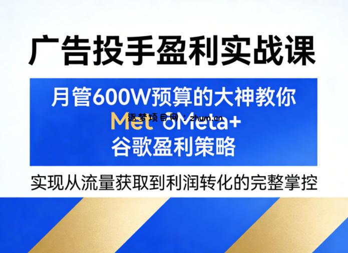 广告投手盈利实战课，月管600W预算的大神教你Meta+谷歌盈利策略，实现从流量获取到利润转化的完整掌控-逐梦项目网