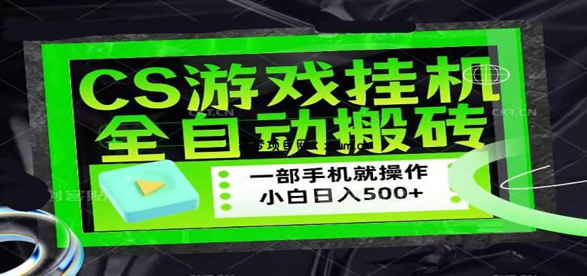 CSGO游戏挂机捡漏搬砖，超稳定的项目，带领1000+小白实现日入500+-逐梦项目网