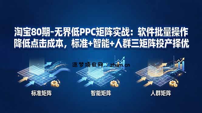 淘宝80期-无界低PPC矩阵实战：软件批量操作降低点击成本，标准+智能+人群三矩阵投产择优-逐梦项目网