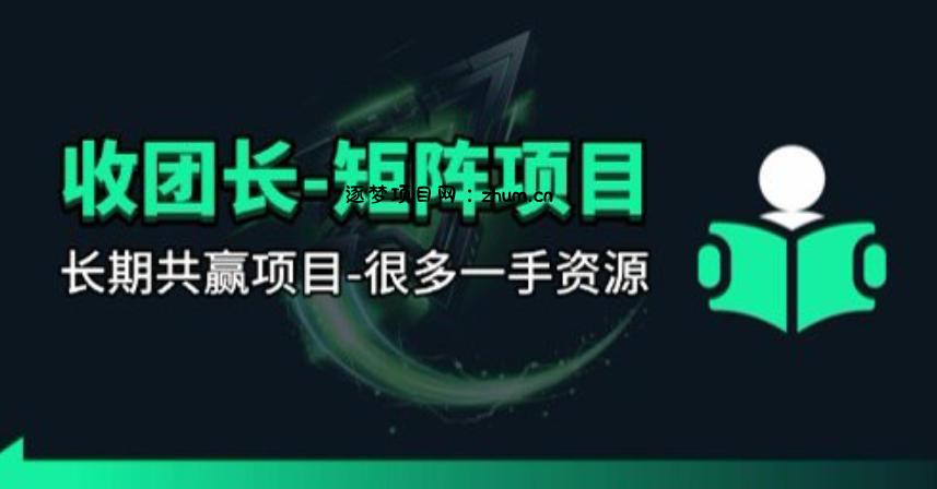 【团长合作】视频矩阵项目_招发手矩阵+剪辑师,共赢项目【揭秘】