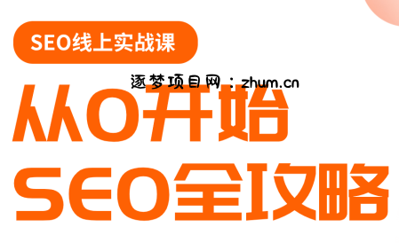 若凡老师·谷歌SEO实操课(更新)-逐梦项目网