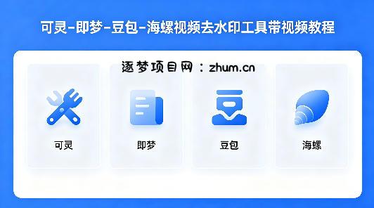 可灵–即梦–豆包–海螺视频去水印工具带视频教程-逐梦项目网