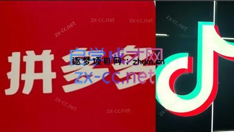 老陶电商·拼多多+抖音小店无货源开店(更新4月)-逐梦项目网