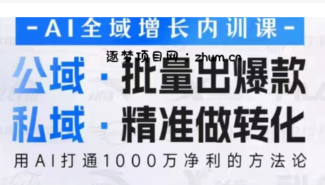 吴思晓·2026AI全域增长内训课+思维导图-逐梦项目网