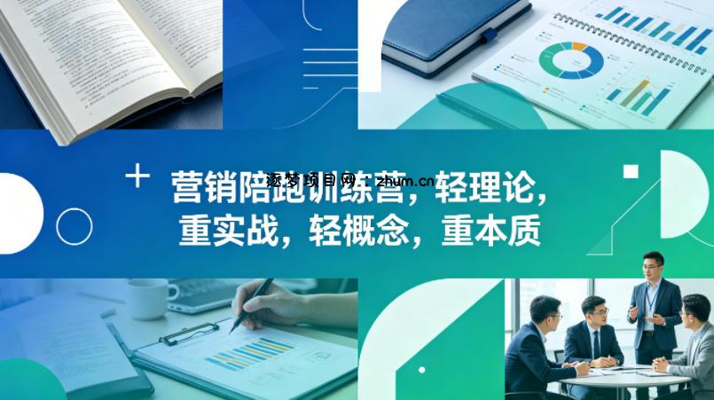 老A营销陪跑训练营，轻理论，重实战，轻概念，重本质(更新2026年4月)-逐梦项目网