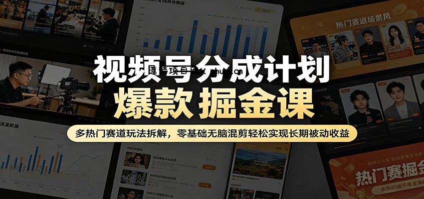 视频号分成计划爆款掘金课：多热门赛道玩法拆解，零基础无脑混剪轻松实现长期被动收益-逐梦项目网