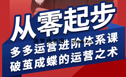 海神·拼多多运营进阶系统课(更新2026)-逐梦项目网