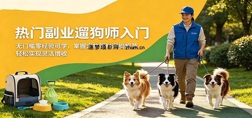 热门副业遛狗师入门，无门槛零经验可学，掌握宠物照料遛狗规范，轻松实现灵活增收-逐梦项目网