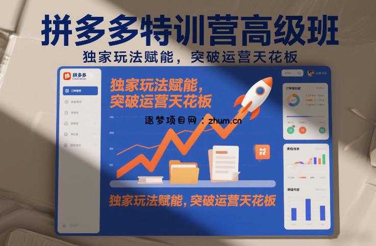 拼多多特训营高阶班，独家玩法赋能，突破运营天花板(更新26年4月24日)-逐梦项目网