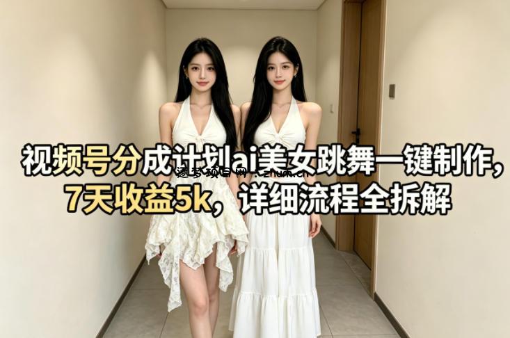 视频号分成计划ai美女跳舞一键制作，7天收益5k，详细流程全拆解-逐梦项目网