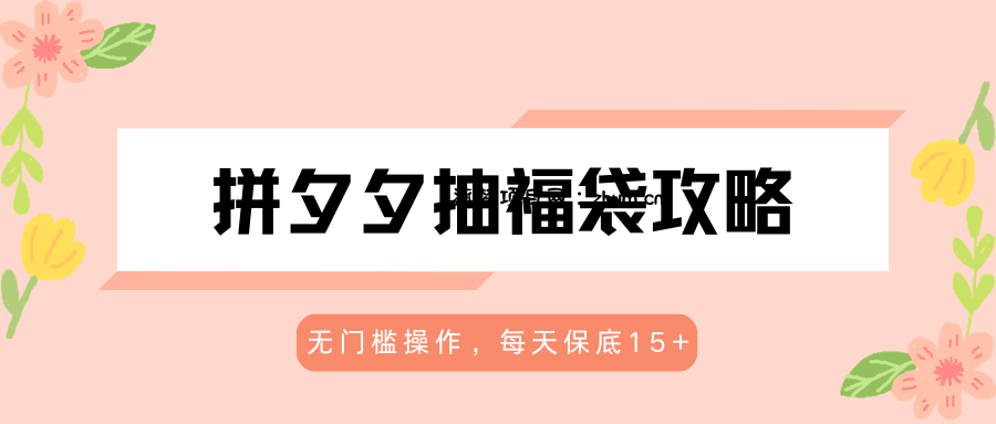 拼夕夕抽福袋攻略，无门槛操作，每天保底15+-逐梦项目网