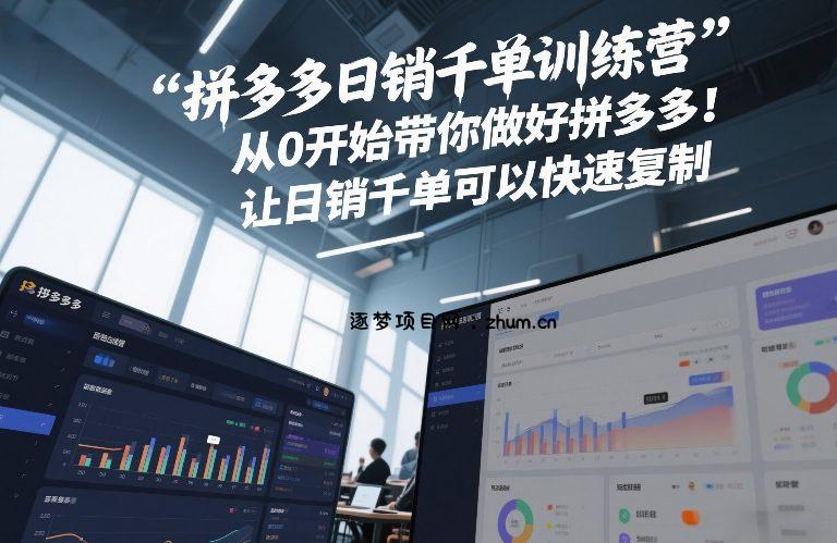 拼多多日销千单训练营，从0开始带你做好拼多多，让日销千单可以快速复制(更新26年4月)-逐梦项目网