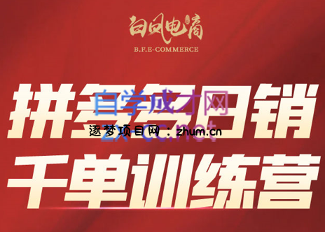 白凤电商·拼多多日销千单训练营(更新4月)-逐梦项目网