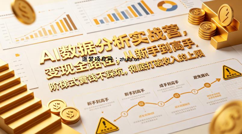 AI数据分析实战营，变现全路径，从新手到高手，阶梯式賺钱不踩坑，彻底打破收入的上限-逐梦项目网