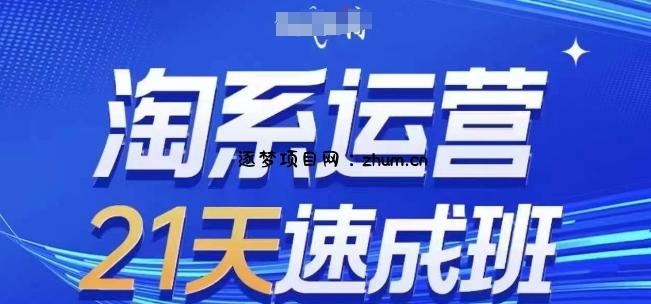 淘系运营21天速成班，0基础轻松搞定淘系运营，不做假把式，快速复制落地(更新26年4月)-逐梦项目网