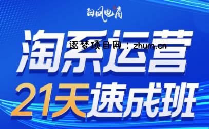 白凤电商·淘系运营21天速成班(更新4月)-逐梦项目网