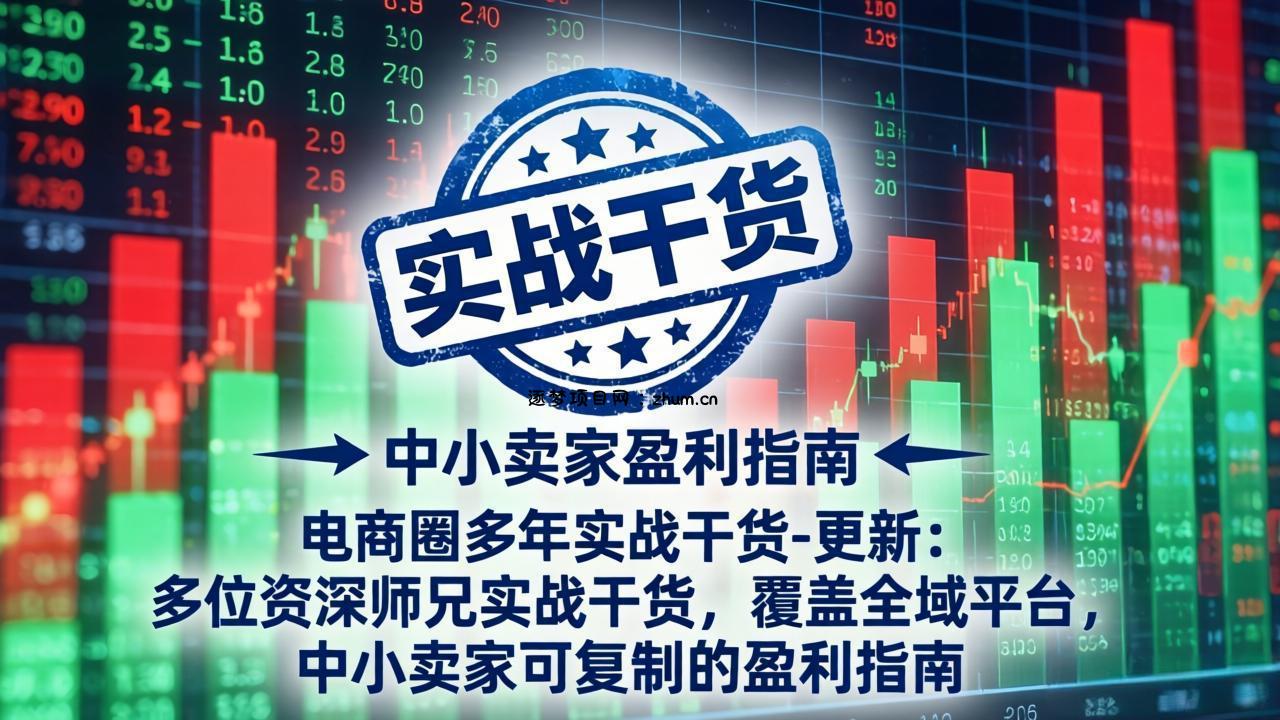 电商圈多年实战干货-更新5月10:多位资深师兄实战干货/覆盖全域平台,中小卖家可复制的盈利指南-逐梦项目网