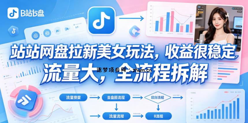 B站网盘拉新美女玩法，收益很稳定，流量大，全流程拆解-逐梦项目网
