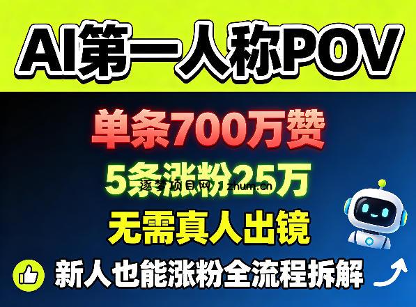 AI第一人称POV，单条700W赞，5条涨粉25W，无需真人出镜，新人也能涨粉全流程拆解-逐梦项目网