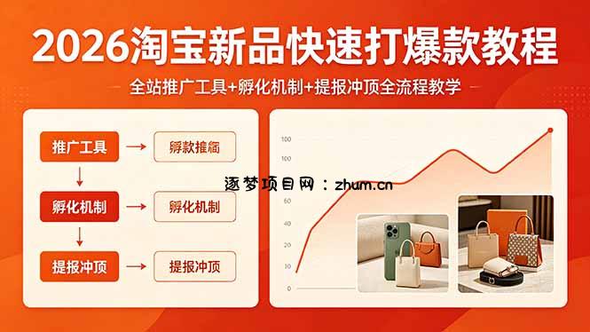 2026淘宝新品快速打爆款教程,全站推广工具+孵化机制+提报冲顶全流程教学-逐梦项目网