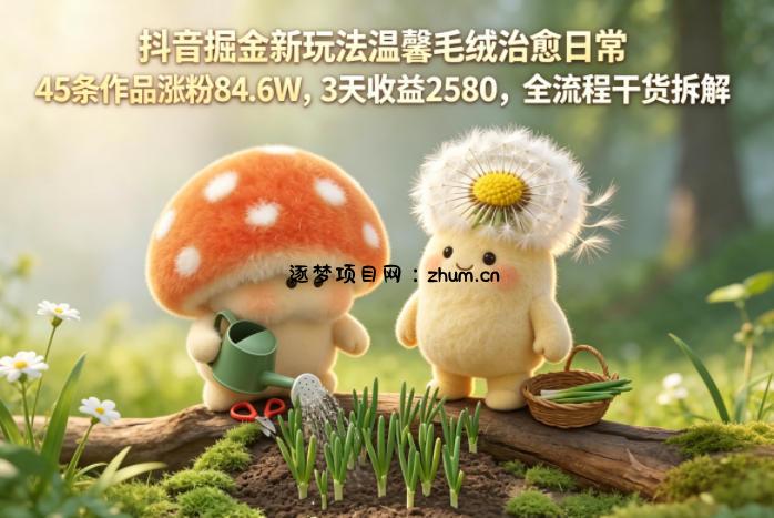 抖音掘金新玩法温馨毛绒治愈日常，45条作品涨粉84.6W，3天收益2580，全流程干货拆解-逐梦项目网