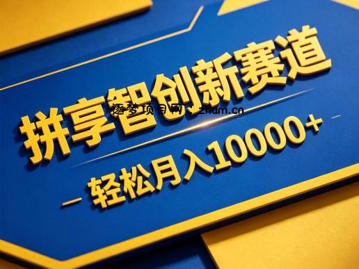 拼享智创新赛道，轻松月入1W+，门槛极低、收益稳定、可长期放大的轻资产项目【揭秘】-逐梦项目网