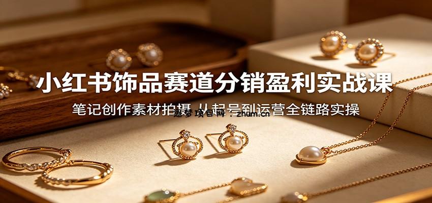 小红书饰品赛道分销盈利实战课：笔记创作素材拍摄，从起号到运营全链路实操-逐梦项目网