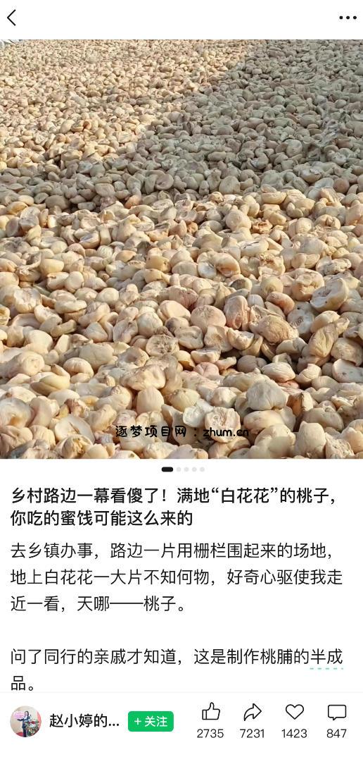 公众号小绿书贴图项目,赚收益实操玩法,听话照听话照少走90%弯路丨副业可做