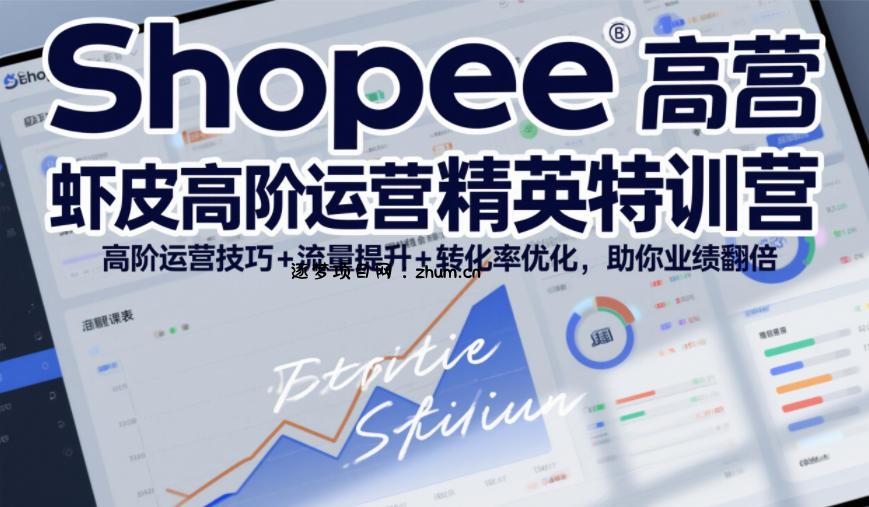 Shopee虾皮高阶运营精英特训营,高阶运营技巧+流量提升+转化率优化,助你业绩翻倍(更新26年5月)