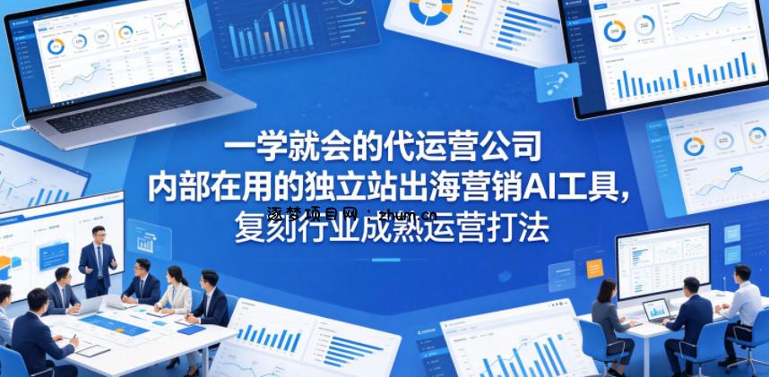 一学就会的代运营公司内部在用的独立站出海营销AI工具,复刻行业成熟运营打法