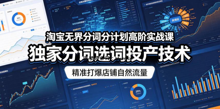 淘宝无界分词分计划高阶实战课,独家分词选词投产技术,精准打爆店铺自然流量