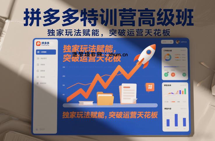拼多多特训营高阶班,独家玩法赋能,突破运营天花板(更新26年5月23日)-逐梦项目网