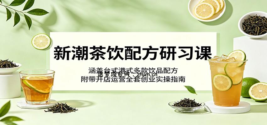 新潮茶饮配方研习课：涵盖台式港式多款饮品配方，附带开店运营全套创业实操指南-逐梦项目网