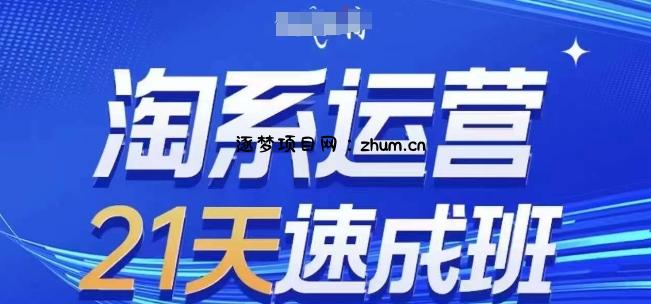 淘系运营21天速成班,0基础轻松搞定淘系运营,不做假把式,快速复制落地(更新26年5月)-逐梦项目网