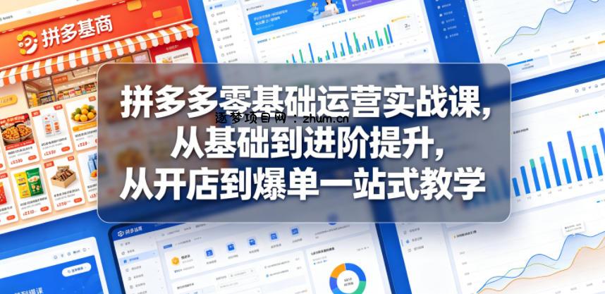 拼多多零基础运营实战课,从基础到进阶提升,从开店到爆单一站式教学-逐梦项目网
