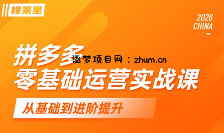 仙道电商·拼多多零基础运营实战课-逐梦项目网