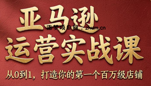 skyla·亚马逊运营实战课(更新6月)-逐梦项目网