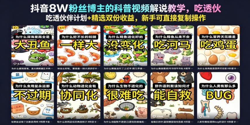 抖音8W粉丝博主的科普视频解说教学,吃透伙伴计划+精选双份收益,新手可直接复制操作-逐梦项目网