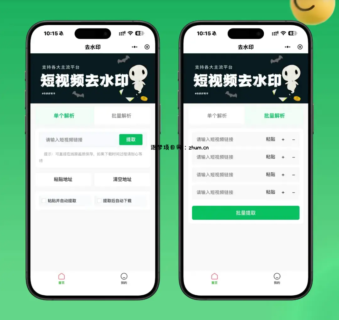 2026最新去水印小程序源码 v1.6.5 带流量主-逐梦项目网