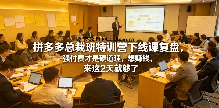 拼多多总裁班特训营下线课复盘,强付费才是硬道理,想賺钱,来这2天就够了-逐梦项目网