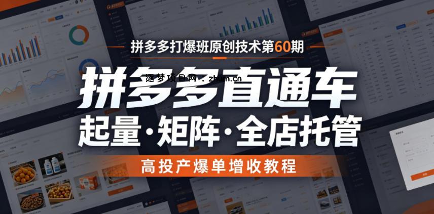 拼多多打爆班原创技术第60期,拼多多直通车,起量・矩阵・全店托管,高投产爆单增收教程-逐梦项目网