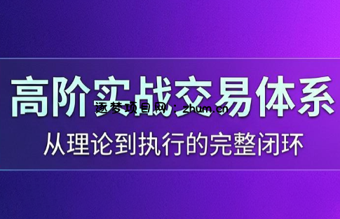高老师·高阶实战交易体系(更新6月)-逐梦项目网