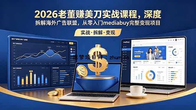 2026老董赚美刀实战课程,深度拆解海外广告联盟,从零入门mediabuy完整变现项目-逐梦项目网