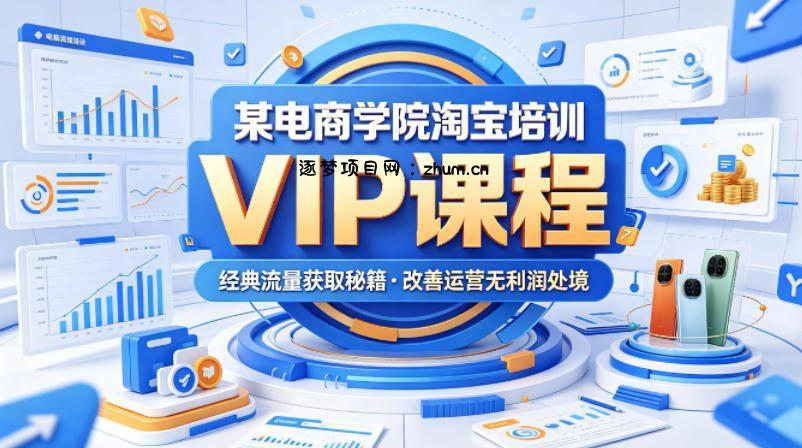 某电商学院淘宝培训VIP课程,各种经典有用的流量获取秘籍,改善运营产品没利润的处境(2026年6月)-逐梦项目网