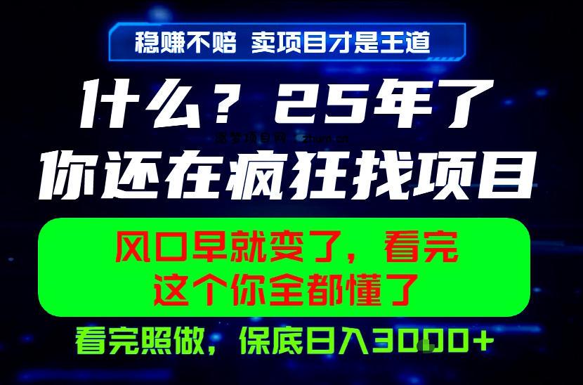 26年,请不要疯狂的找项目做了!卖项目才是真的稳賺不赔,看完照做,保底日入1k+【揭秘】-逐梦项目网