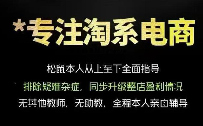松鼠会电商VIP课程,从基础布局到高阶优化,助你掌握淘宝运营逻辑,提升店铺流量与转化-逐梦项目网