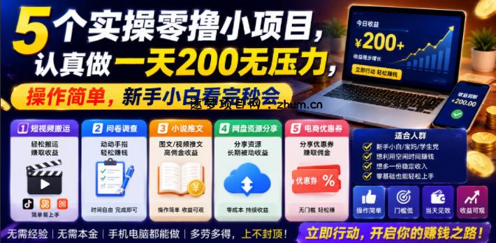 5个实操零撸小项目,认真做一天200无压力,操作简单,新手小白看完秒会【揭秘】-逐梦项目网